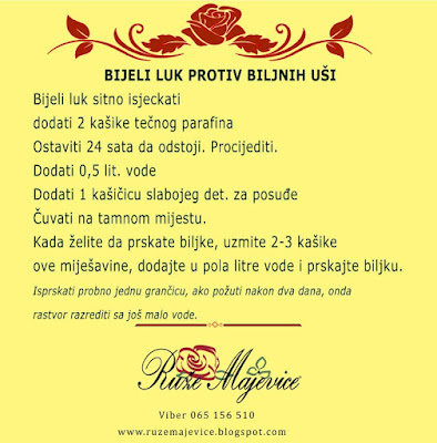 Bijeli luk protiv biljnih vasi