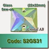 S2GS31 copy