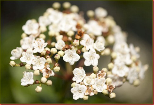Spring 201226