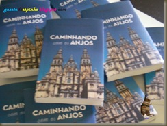 Blog003-2015-06-20Gazeta de Espinho