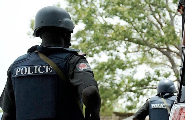 POLICE RECOVERS 263 MISSING CHILDREN IN DELTA