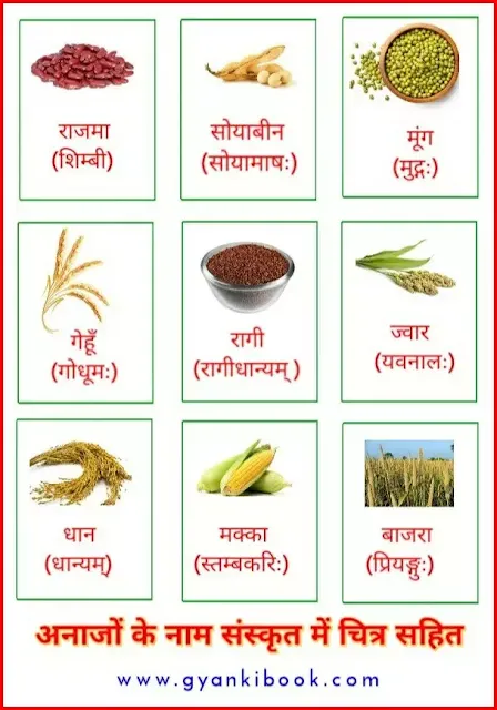 Grains name in sanskrit