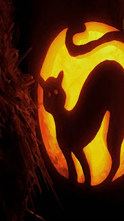 Halloween Cat O Lantern iPhone 5 Wallpapers