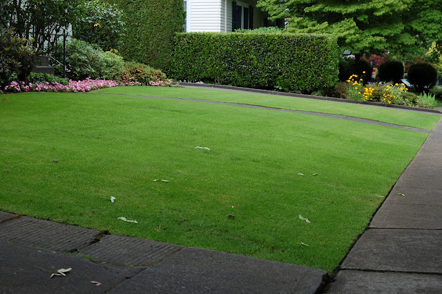 Southwest Greens: Synthetic Grass, Artifical Lawns, Pet Turf and