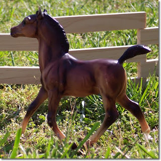 Breyer Footloose