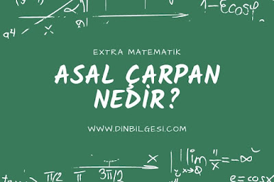 Asal Çarpan Nedir? Örneklerle Eğitim ve Materyal