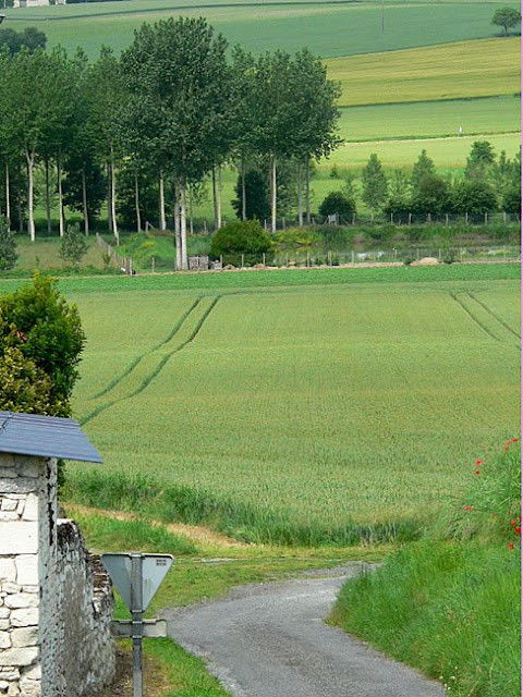 Photographed by Susan Walter. Tour the Loire Valley with a classic car and a private guide.