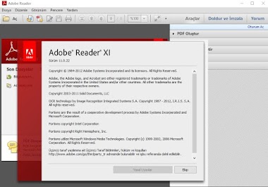 Adobe Reader 11