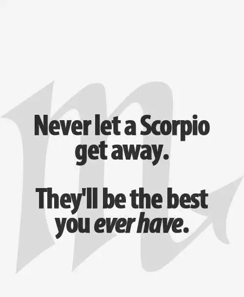 Love Or Hate A Scorpion