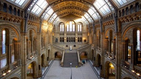 London-Natural-History-Museum-90905