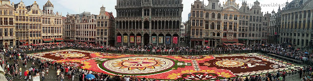 Brussels Flower Carpet 2018 Mexico