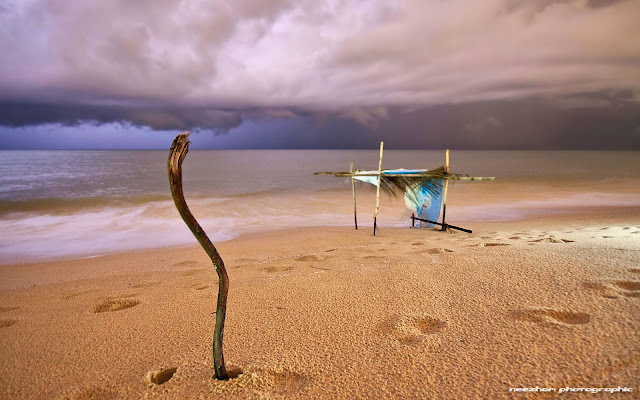 Gambar kayu menongkat awan di pantai Telipot - Night shot