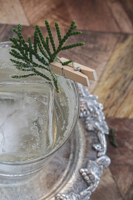 sirop-recette-boreal-thuya-genievre-nard-madame-gin,sirop-cocktail,gin-forestier-boreal