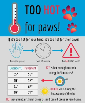 Don't take pets outside when it's really hot