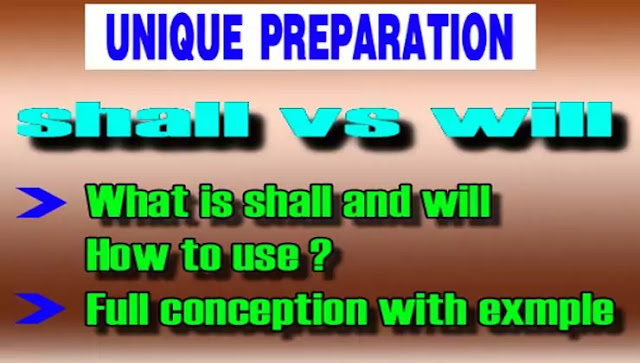 Use of shall and will