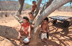 brasil-carinhoso-pobres-seca-nordeste