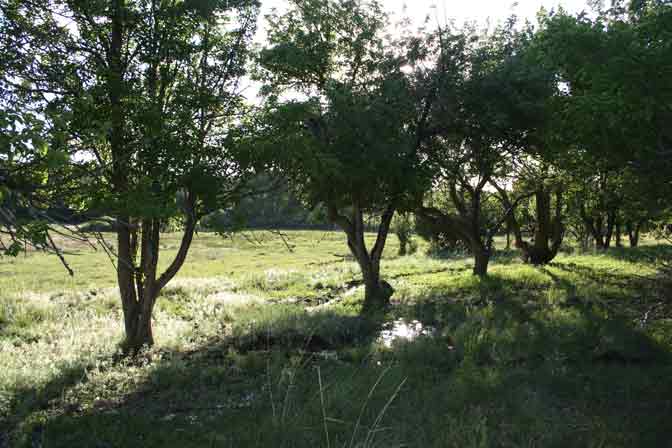 The Acequia- community water sharing