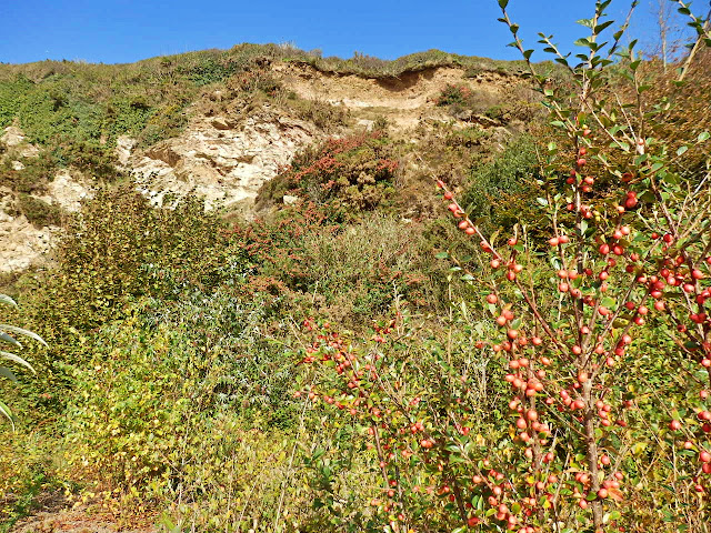 Cliffs at Carlyon Bay, Cornwall