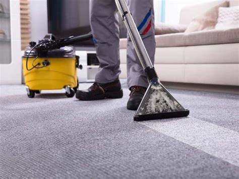 best carpet cleaners in sydney