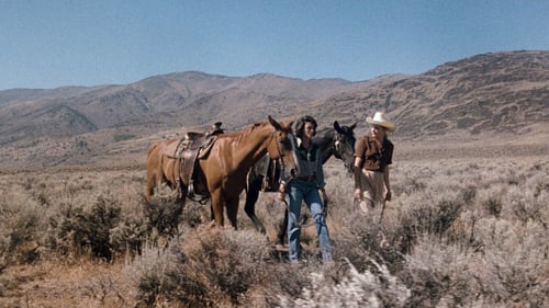 Cuori nel deserto 1985 film senza limiti