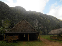 viñales cuba