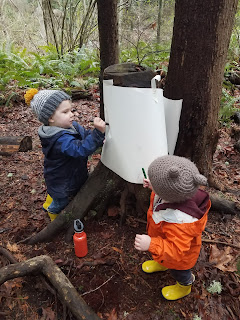 Bark Tracing with Preschoolers