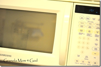 microwave experiement 054