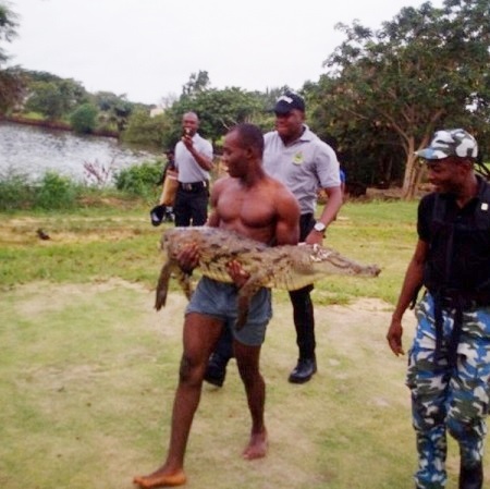 See the Big Alligator Killed by Officials of the Nigerian Military at Navy Town in Lagos (Photos)