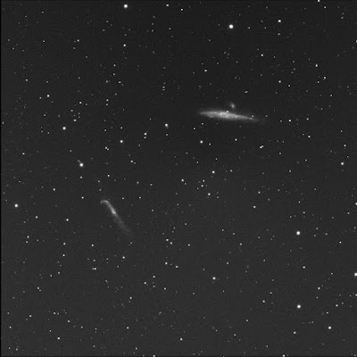 NGC 4631 and NGC 4656 in luminance