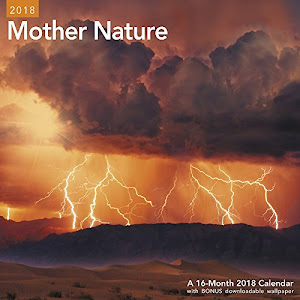 2018 Mother Nature Wall Calendar (Mead)