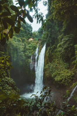 Landscape Photography of Waterfalls Surrounded by Green Leafed Plants | Copyright Free