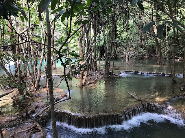 if the mosquitoes attack, dive into the water