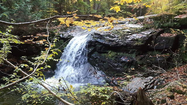 Sentier pédestre en direction du mont Colvin dans les Adirondacks