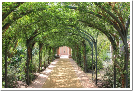 130403_Lotusland_tea-tree-arbor
