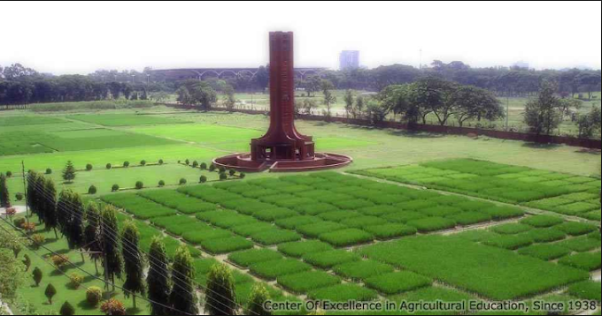 বাংলাদেশ কৃষি বিশ্ববিদ্যালয়ে যেভাবে আসবে