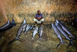 cara memancing banyak ikan