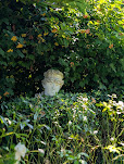 Le Jardin des Personnalités - in Honfleur - Lucie Delarue-Mardrus