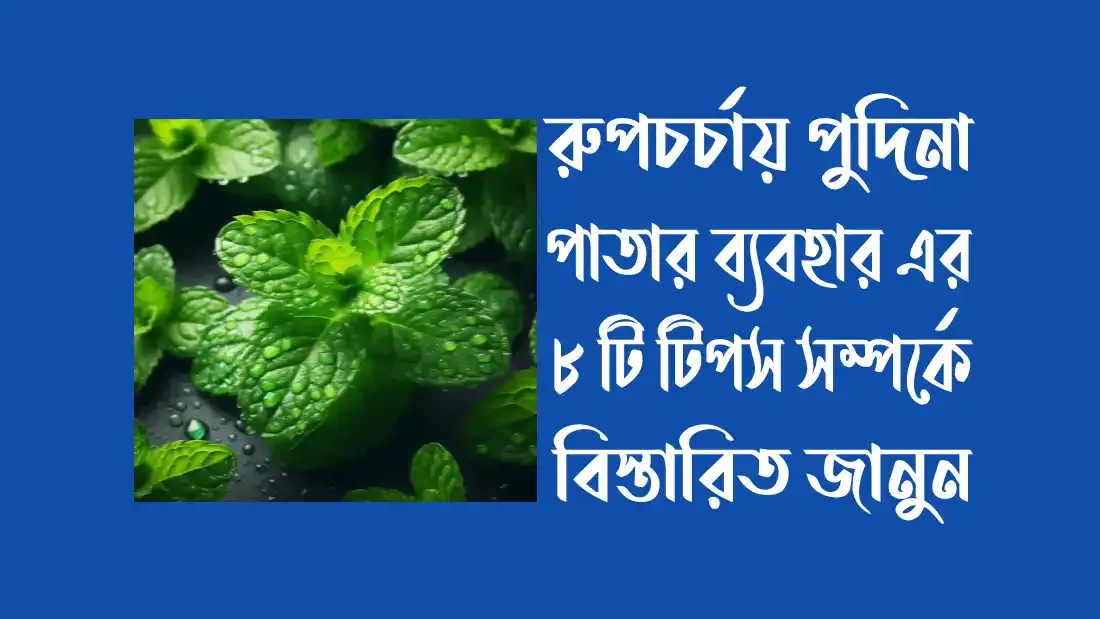 পুদিনা-পাতার-শরবত-এর-উপকারিতা