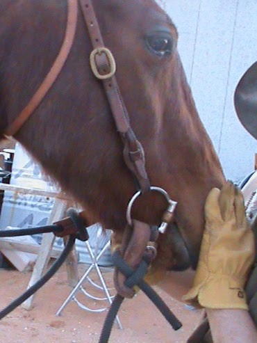 Functional Horsemanship: Mecate with a Snaffle Bit