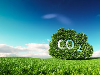 reduce-carbon-emmission-for-health