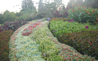 Rose Garden, flowerbed, Stanley Park, Vancouver