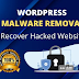 Clean malware, website security, WordPress malware removal