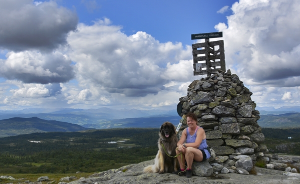 buvasstølan vardefjell stolpejakt