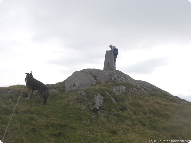 summit of caw