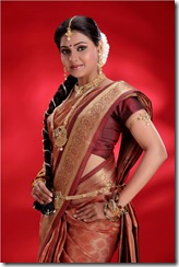 nandagi spicy still