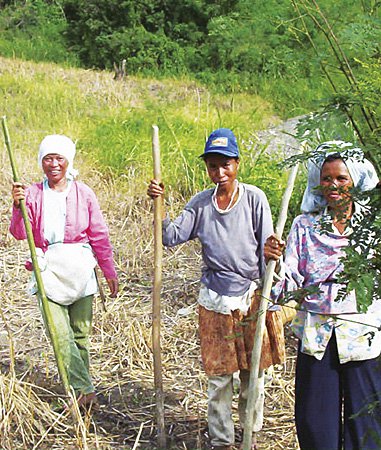Arumanen Manobo women farmers and their traditional farming system