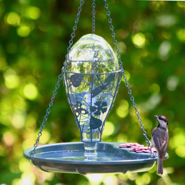 Garden Bird Feeders