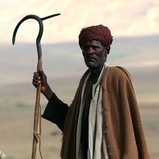 A shepherd crook is a long wooden staff with a curved end