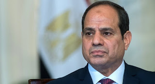 السيسي يوجه الحكومة بتطوير صناعة الغزل وإعادة القطن المصري لسابق عهده