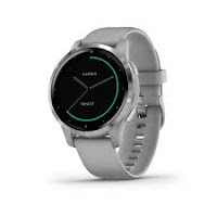 Garmin vivoactive 4S Smartwatch